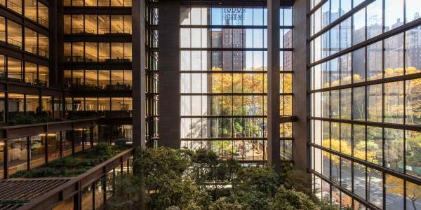 The Ford Foundation Building atrium with a view from the windows of trees with yellow leaves. 